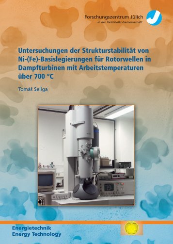 PDF - JuSER - Forschungszentrum JÃ¼lich