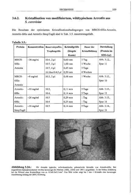 Arrestin hetero/oge Expression/l Mutagenese und biophy,sikalische Untersuchungen