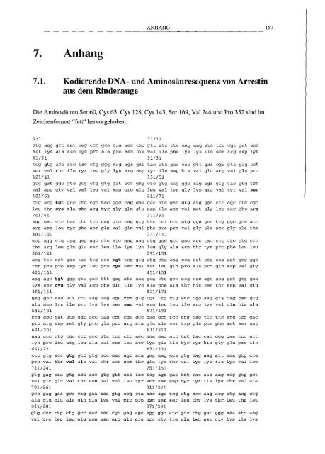 Arrestin hetero/oge Expression/l Mutagenese und biophy,sikalische Untersuchungen