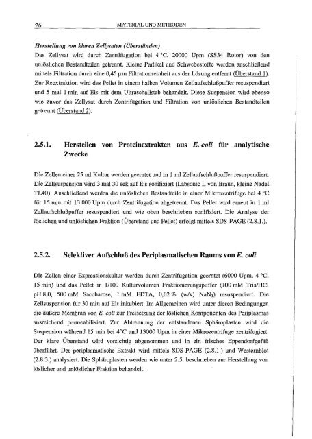 Arrestin hetero/oge Expression/l Mutagenese und biophy,sikalische Untersuchungen