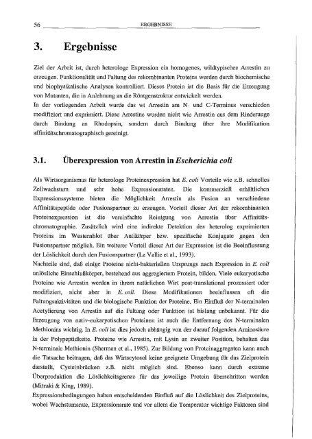 Arrestin hetero/oge Expression/l Mutagenese und biophy,sikalische Untersuchungen