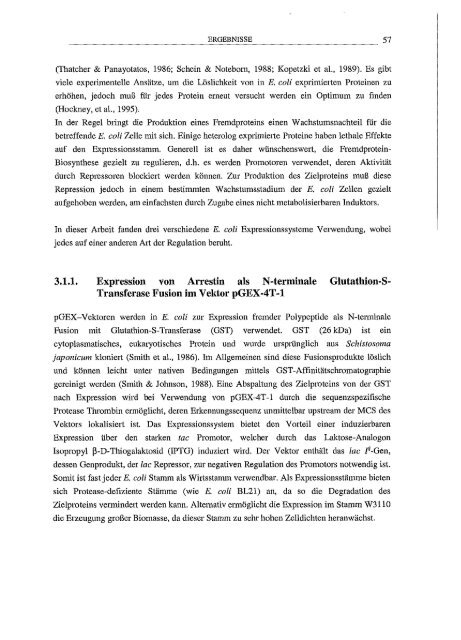 Arrestin hetero/oge Expression/l Mutagenese und biophy,sikalische Untersuchungen