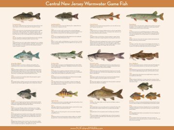 Central New Jersey Warmwater Game Fish