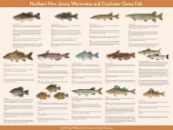 Northern New Jersey Warmwater and Coolwater Game Fish