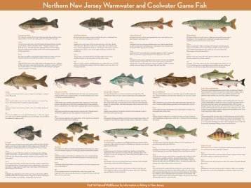 Northern New Jersey Warmwater and Coolwater Game Fish