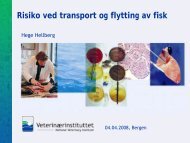 Risiko ved transport og flytting av fisk