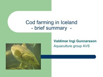 Cod farming in Iceland - brief summary -