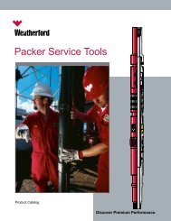 Packer Service Tools Catalog - Weatherford International