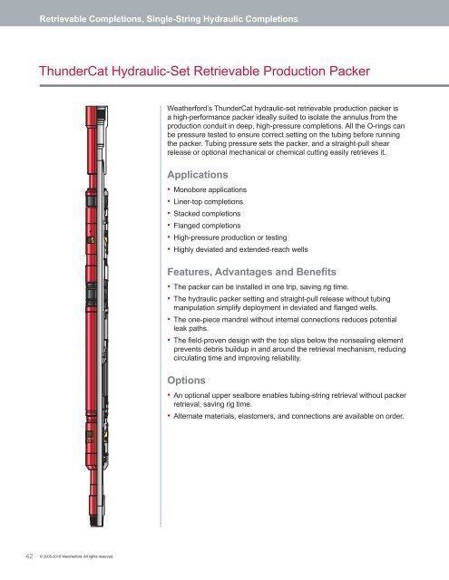 Packers Catalog - Weatherford International