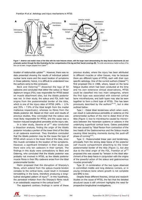 World Journal of Orthopedics