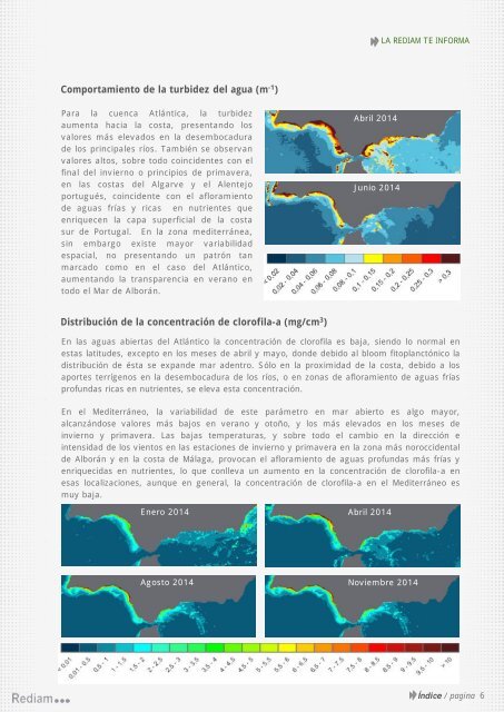 boletin