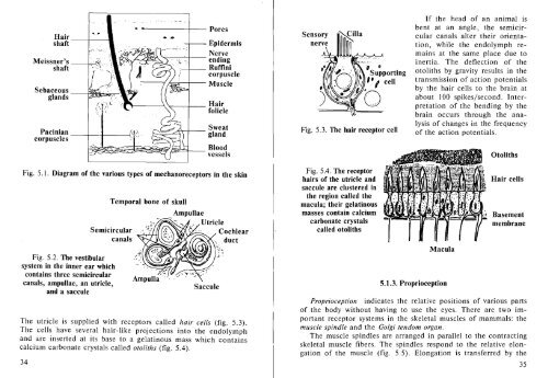 PHYSICS