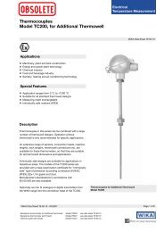 Thermocouples Model TC200 for Additional Thermowell