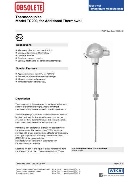 Thermocouples Model TC200 for Additional Thermowell