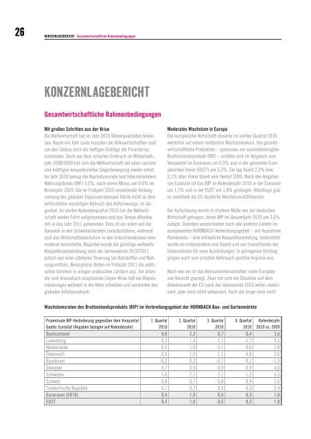 GESCHÄFTSBERICHT 2010 | 2011