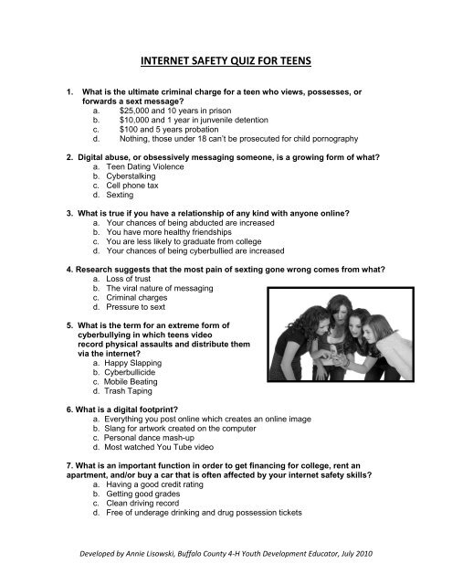 Questions For SAFE Online Booth, PDF, Cyberbullying