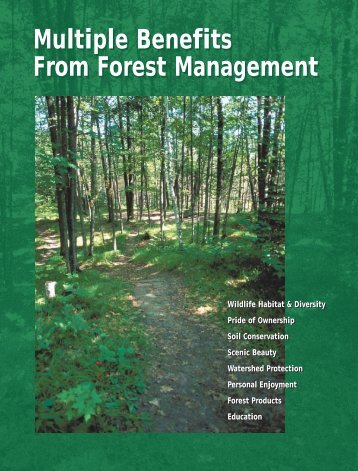 Multiple Benefits From Forest Management