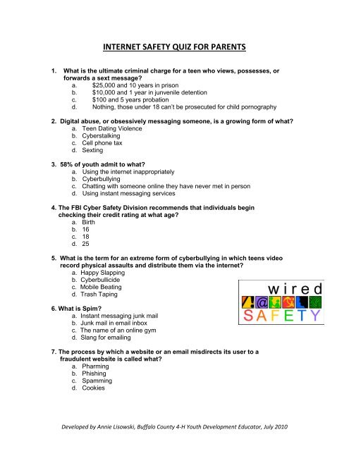 Questions For SAFE Online Booth, PDF, Cyberbullying