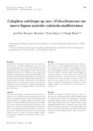 Caloplaca calcitrapa sp. nov. (Teloschistaceae ... - lichenologue.org