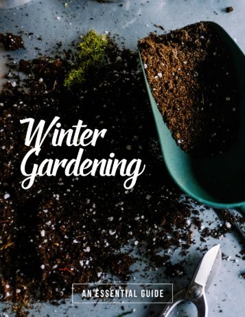 Winter Gardening Guide