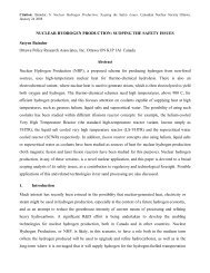 Nuclear Hydrogen Production: Scoping the Safety Issues