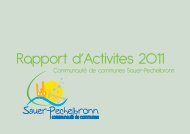 Rapport d’Activites 2011