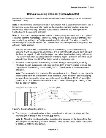 Using a Counting Chamber (Hemocytometer)