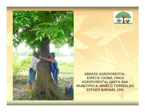 Ponencia Experiencias y Potencial de la Agroforestería