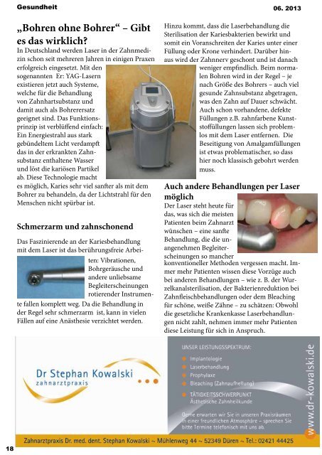 DNS Ausgabe Januar Juni 2013