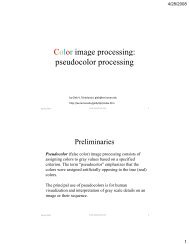 Color image processing pseudocolor processing