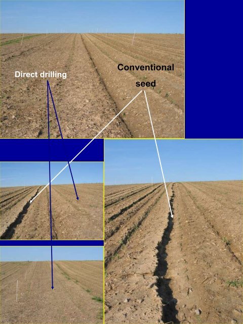 Conservation Tillage Systems Field Trials in Lower Austria