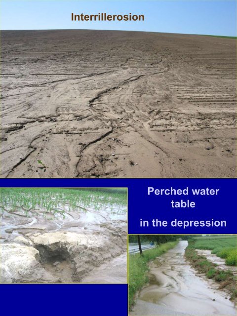 Minimum Tillage Systems and environmenmtal aspects