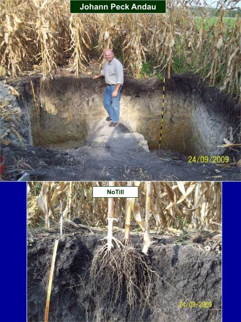 Minimum Tillage Systems and environmenmtal aspects