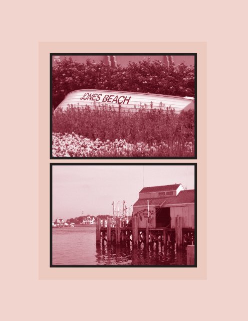 2008 Annual Report - Long Island Community Foundation