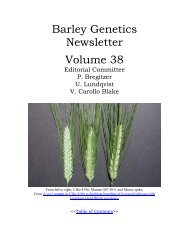 BARLEY GENETICS NEWSLETTER - GrainGenes - US Department BARLEY GENETICS NEWSLETTER - GrainGenes - US Department