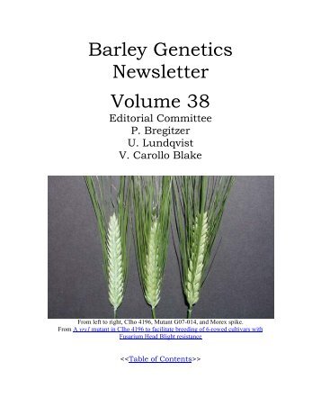 BARLEY GENETICS NEWSLETTER - GrainGenes