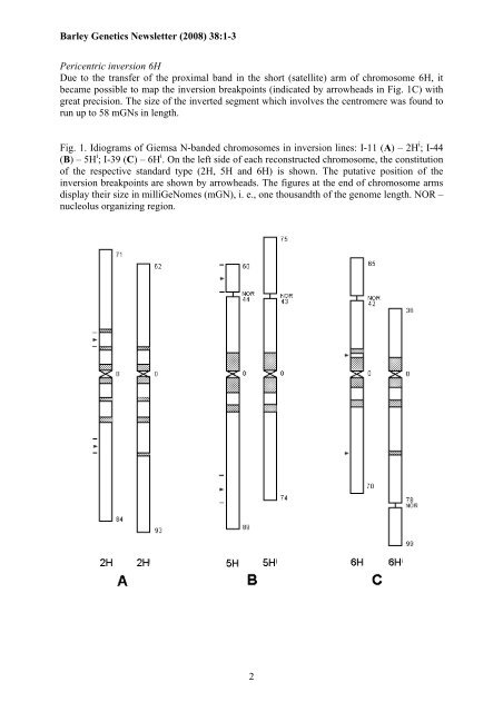 BARLEY GENETICS NEWSLETTER - GrainGenes