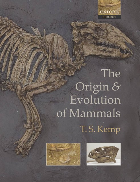 PDF) The origin and early evolution of metatherian mammals: The Cretaceous  record