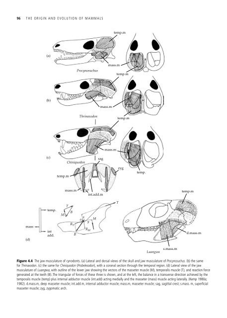 The Origin and Evolution of Mammals - Moodle