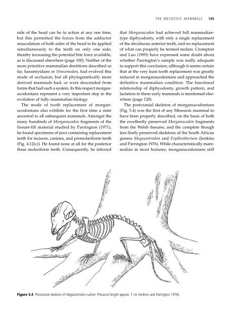 The Origin and Evolution of Mammals - Moodle