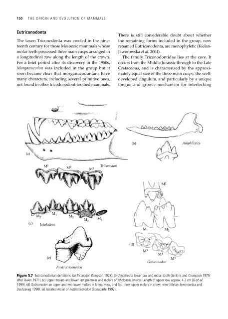 The Origin and Evolution of Mammals - Moodle