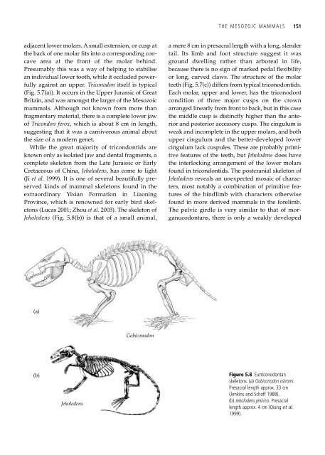 The Origin and Evolution of Mammals - Moodle