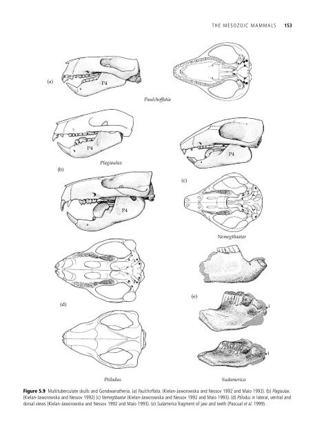 The Origin and Evolution of Mammals - Moodle