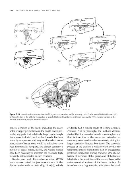 The Origin and Evolution of Mammals - Moodle