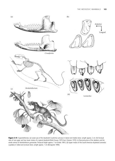 The Origin and Evolution of Mammals - Moodle