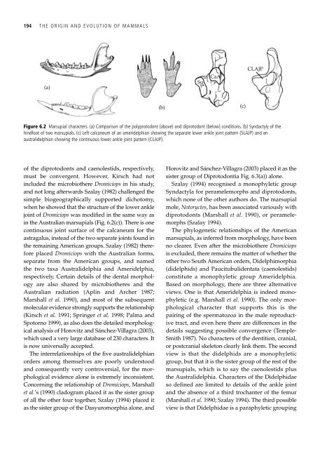 The Origin and Evolution of Mammals - Moodle