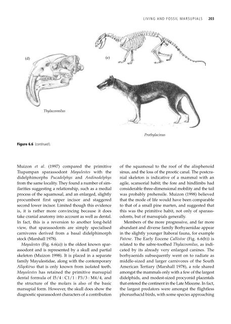 The Origin and Evolution of Mammals - Moodle