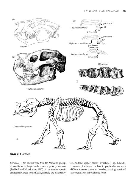 The Origin and Evolution of Mammals - Moodle