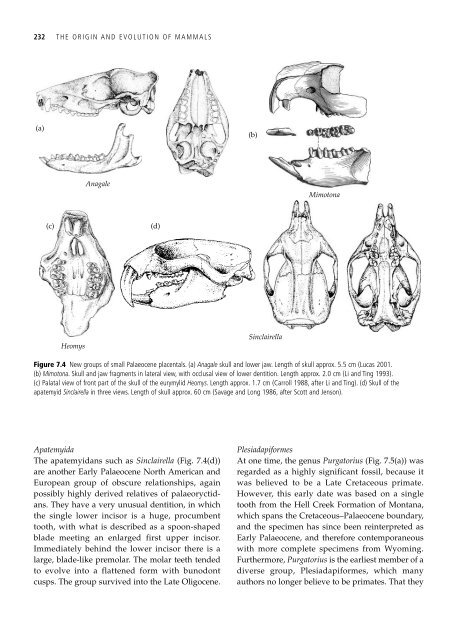 The Origin and Evolution of Mammals - Moodle