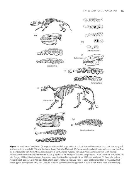 The Origin and Evolution of Mammals - Moodle